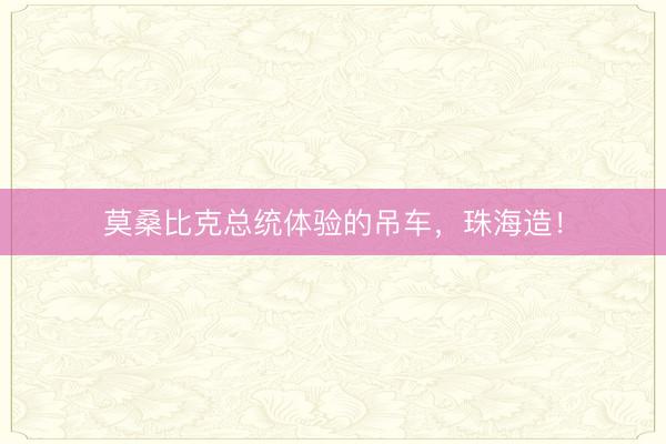 莫桑比克总统体验的吊车，珠海造！