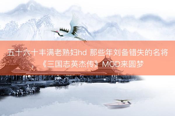 五十六十丰满老熟妇hd 那些年刘备错失的名将，《三国志英杰传》MOD来圆梦