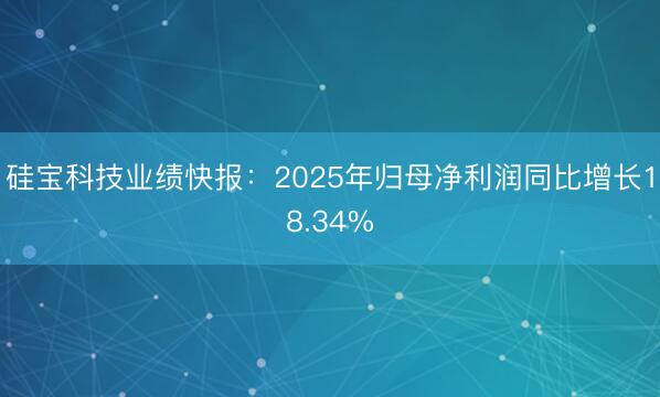 硅宝科技业绩快报：2025年归母净利润同比增长18.34%