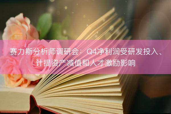 赛力斯分析师调研会:Q4净利润受研发投入、计提资产减值和人才激励影响