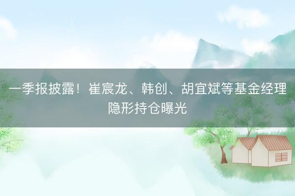 一季报披露!崔宸龙、韩创、胡宜斌等基金经理隐形持仓曝光