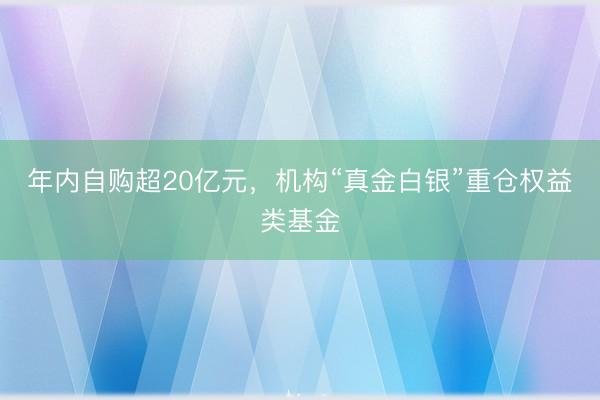 年内自购超20亿元，机构“真金白银”重仓权益类基金