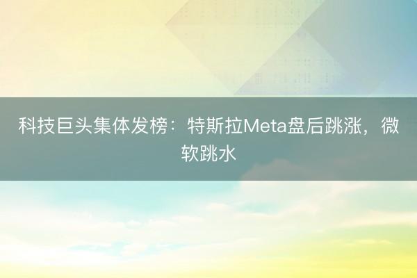 科技巨头集体发榜：特斯拉Meta盘后跳涨，微软跳水