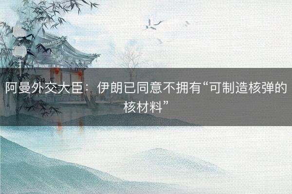 阿曼外交大臣：伊朗已同意不拥有“可制造核弹的核材料”