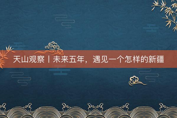 天山观察丨未来五年，遇见一个怎样的新疆