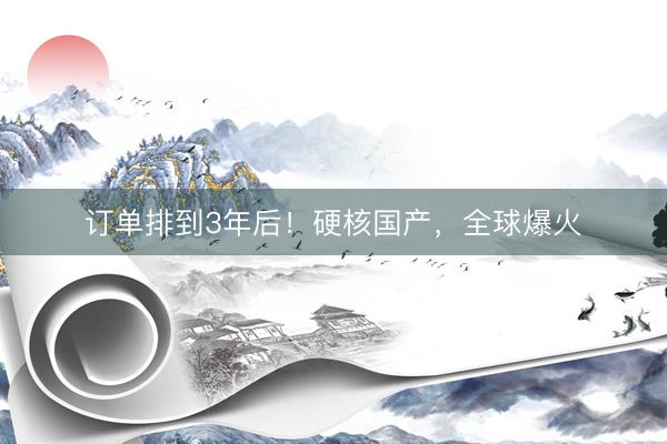 订单排到3年后！硬核国产，全球爆火