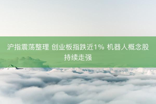 沪指震荡整理 创业板指跌近1% 机器人概念股持续走强