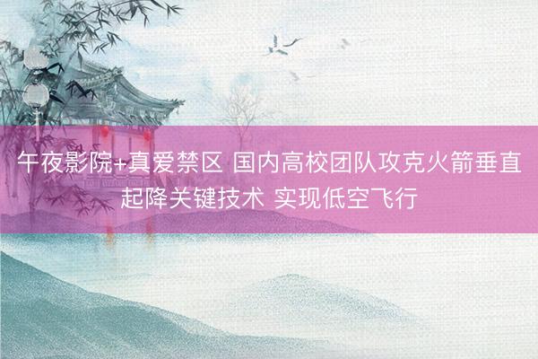 午夜影院+真爱禁区 国内高校团队攻克火箭垂直起降关键技术 实现低空飞行