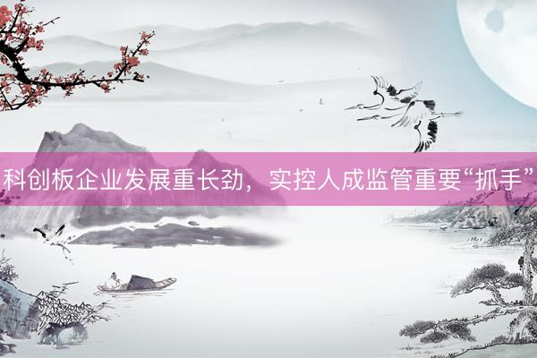 科创板企业发展重长劲，实控人成监管重要“抓手”