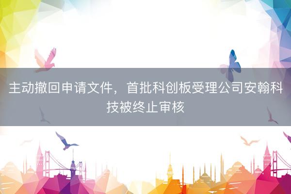 主动撤回申请文件，首批科创板受理公司安翰科技被终止审核