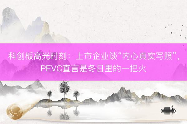 科创板高光时刻：上市企业谈“内心真实写照”，PEVC直言是冬日里的一把火
