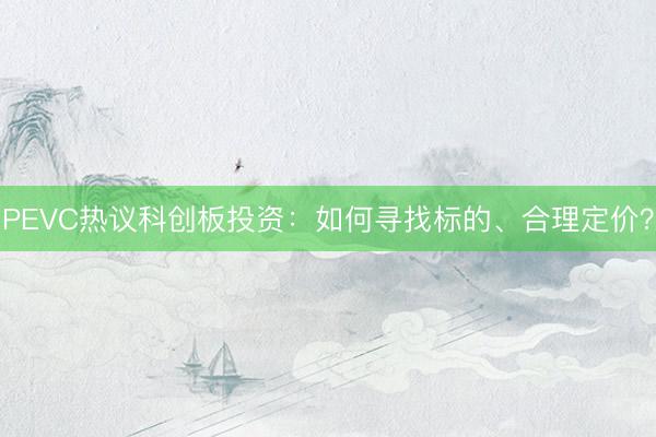 PEVC热议科创板投资：如何寻找标的、合理定价？