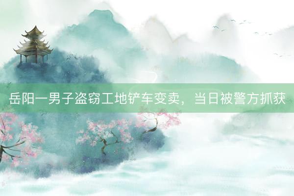 岳阳一男子盗窃工地铲车变卖，<a href=