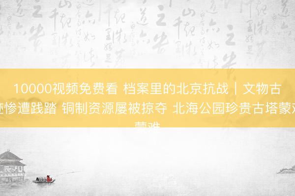 10000视频免费看 档案里的北京抗战｜文物古迹惨遭践踏 铜制资源屡被掠夺 北海公园珍贵古塔蒙难