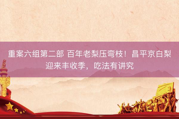 重案六组第二部 百年老梨压弯枝！昌平京白梨迎来丰收季，吃法有讲究