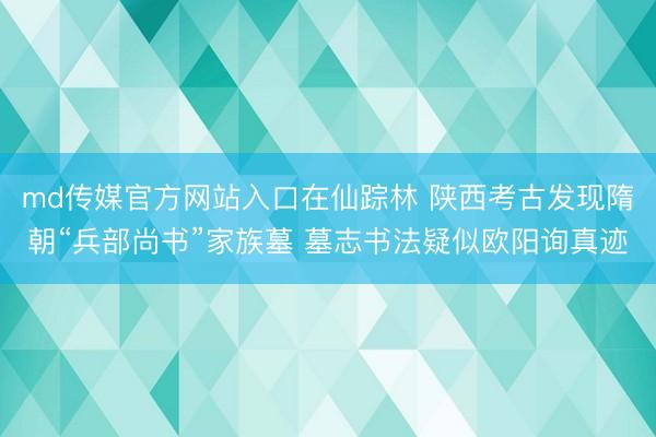 md传媒官方网站入口在仙踪林 陕西考古发现隋朝“兵部尚书”家族墓 墓志书法疑似欧阳询真迹