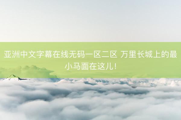 亚洲中文字幕在线无码一区二区 万里长城上的最小马面在这儿！