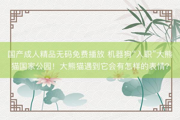国产成人精品无码免费播放 机器狗“入职”大熊猫国家公园！大熊猫遇到它会有怎样的表情？