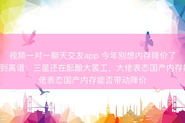 视频一对一聊天交友app 今年别想内存降价了！DDR5已贵到离谱：三星还在酝酿大罢工，大佬表态国产内存能否带动降价