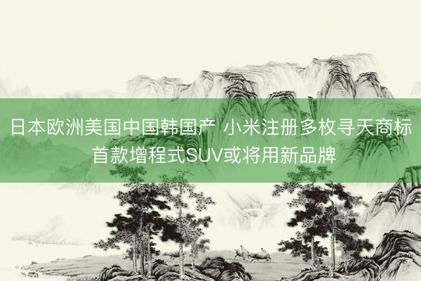 日本欧洲美国中国韩国产 小米注册多枚寻天商标 首款增程式SUV或将用新品牌