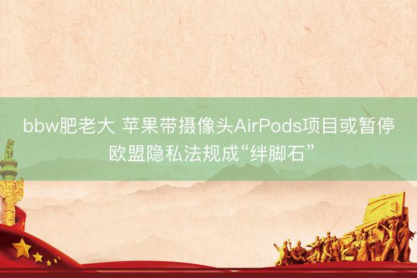 bbw肥老大 苹果带摄像头AirPods项目或暂停 欧盟隐私法规成“绊脚石”