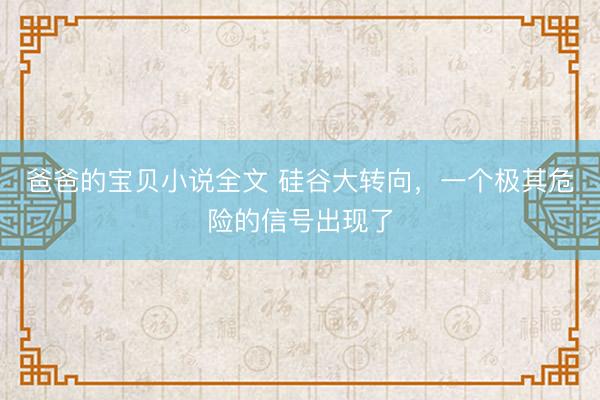 爸爸的宝贝小说全文 硅谷大转向，一个极其危险的信号出现了