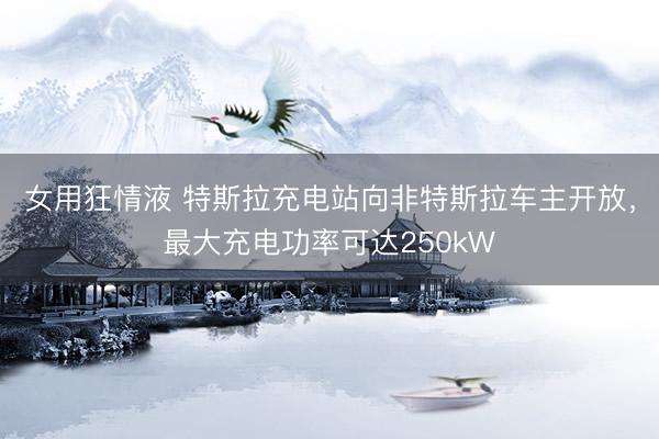 女用狂情液 特斯拉充电站向非特斯拉车主开放，最大充电功率可达250kW