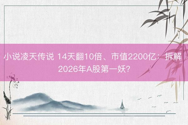 小说凌天传说 14天翻10倍、市值2200亿：拆解 2026年A股第一妖？