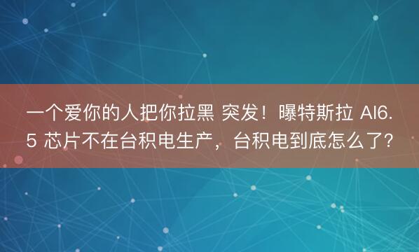 一个爱你的人把你拉黑 突发！曝特斯拉 AI6.5 芯片不在台积电生产，台积电到底怎么了？