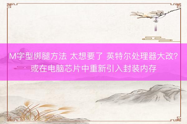 M字型绑腿方法 太想要了 英特尔处理器大改？或在电脑芯片中重新引入封装内存