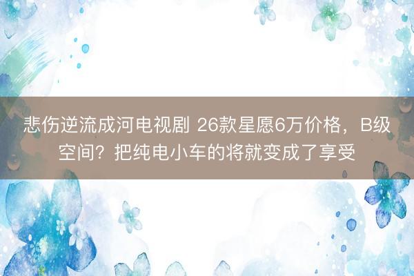 悲伤逆流成河电视剧 26款星愿6万价格,B级空间?把纯电小车的将就变成了享受