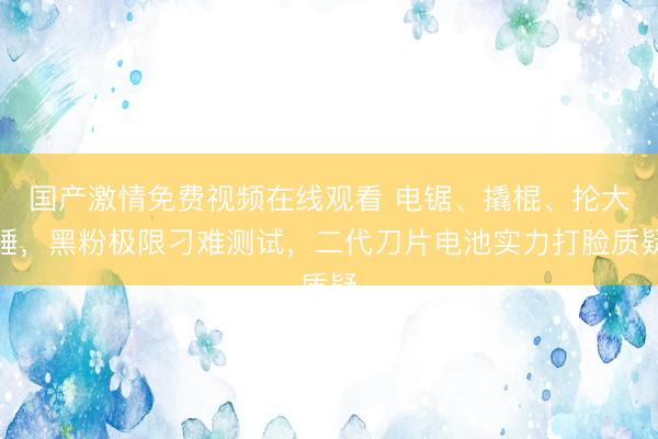 国产激情免费视频在线观看 电锯、撬棍、抡大锤，黑粉极限刁难测试，二代刀片电池实力打脸质疑