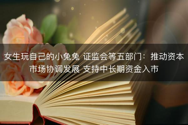 女生玩自己的小兔兔 证监会等五部门：推动资本市场协调发展 支持中长期资金入市