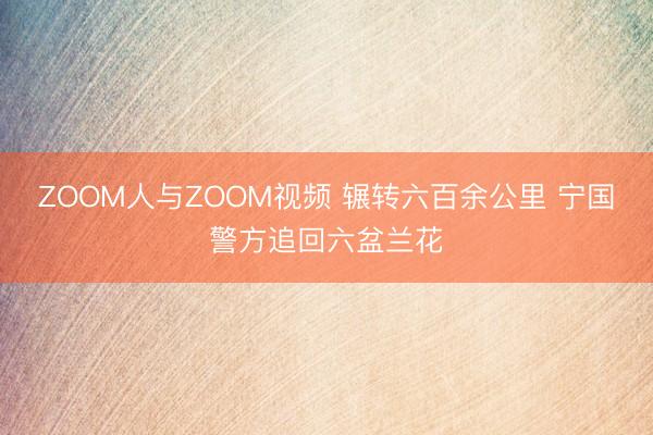 ZOOM人与ZOOM视频 辗转六百余公里 宁国警方追回六盆兰花