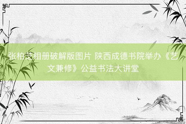 张柏芝相册破解版图片 陕西成德书院举办《艺文兼修》公益书法大讲堂