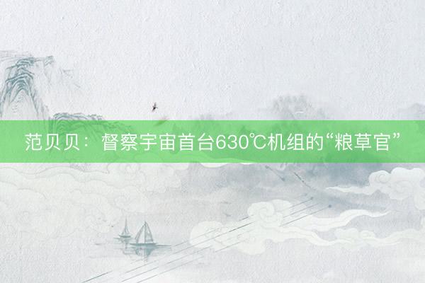范贝贝：督察宇宙首台630℃机组的“粮草官”