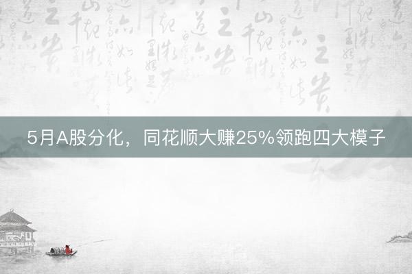 5月A股分化，同花顺大赚25%领跑四大模子