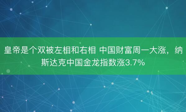 皇帝是个双被左相和右相 中国财富周一大涨，纳斯达克中国金龙指数涨3.7%
