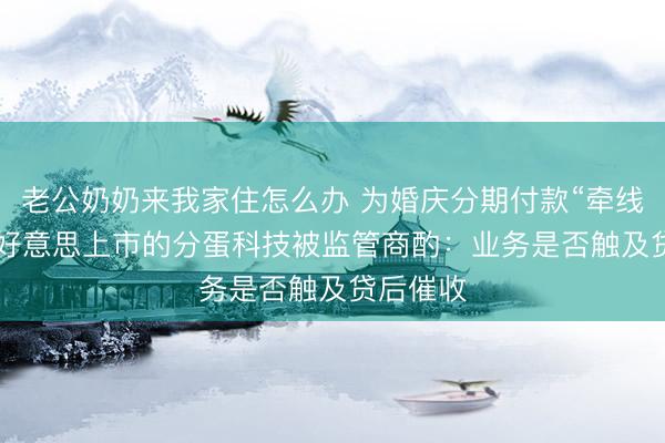 老公奶奶来我家住怎么办 为婚庆分期付款“牵线”  拟赴好意思上市的分蛋科技被监管商酌：业务是否触及贷后催收