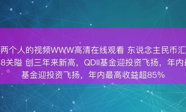两个人的视频WWW高清在线观看 东说念主民币汇率五连涨升破6.8关隘 创三年来新高,QDII基金迎投资飞扬,年内最高收益超85%