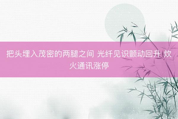 把头埋入茂密的两腿之间 光纤见识颤动回升 炊火通讯涨停