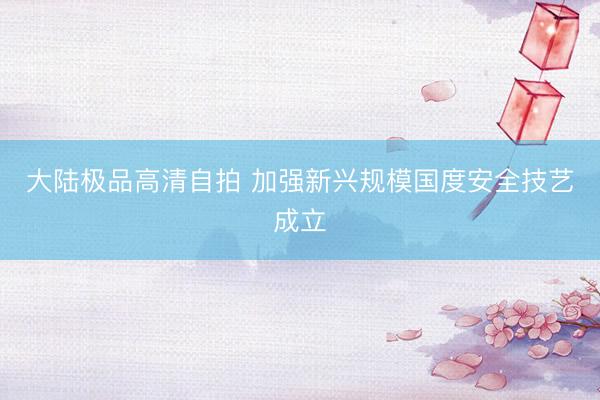 大陆极品高清自拍 加强新兴规模国度安全技艺成立