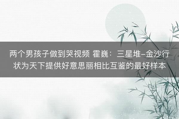 两个男孩子做到哭视频 霍巍：三星堆-金沙行状为天下提供好意思丽相比互鉴的最好样本