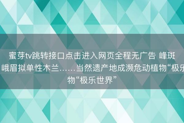 蜜芽tv跳转接口点击进入网页全程无广告 峰斑林蛙、峨眉拟单性木兰……当然遗产地成濒危动植物“极乐世界”