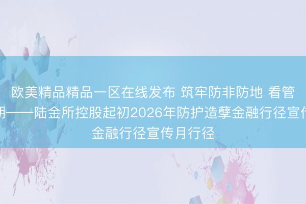 欧美精品精品一区在线发布 筑牢防非防地 看管灯火清朗——陆金所控股起初2026年防护造孽金融行径宣传月行径