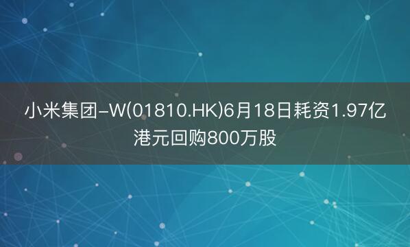 小米集团-W(01810.HK)6月18日耗资1.97亿港元回购800万股