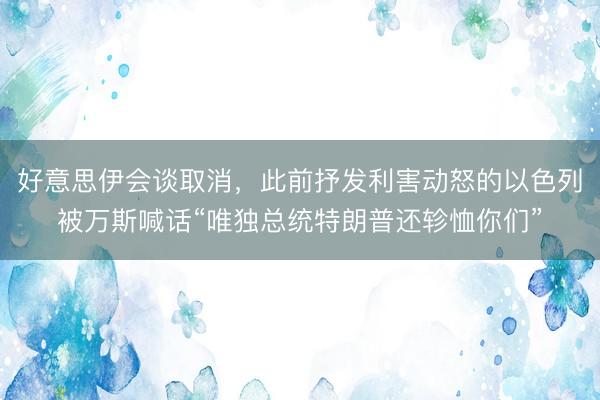 好意思伊会谈取消，此前抒发利害动怒的以色列被万斯喊话“唯独总统特朗普还轸恤你们”