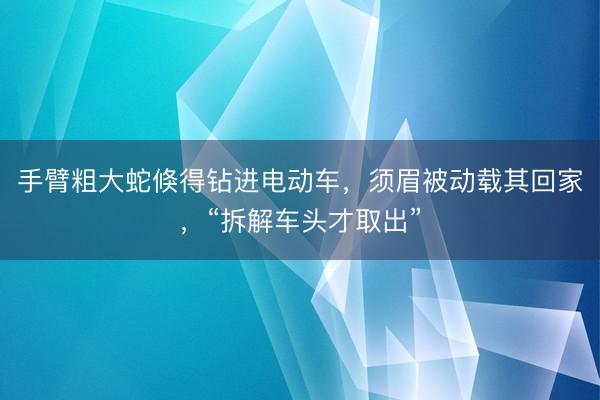 手臂粗大蛇倏得钻进电动车，须眉被动载其回家，“拆解车头才取出”